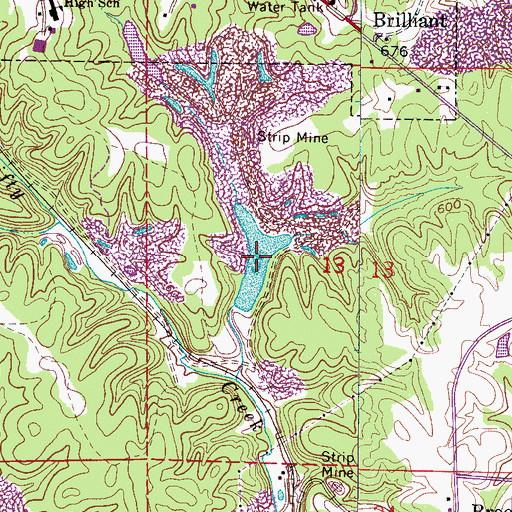 Topographic Map of Brilliant Lake, AL