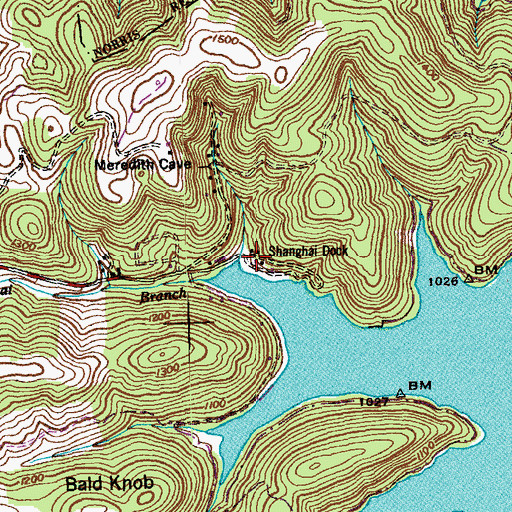 Topographic Map of Shanghai Resort, TN