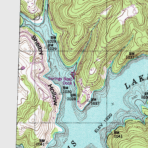 Topographic Map of Springs Boat Dock, TN