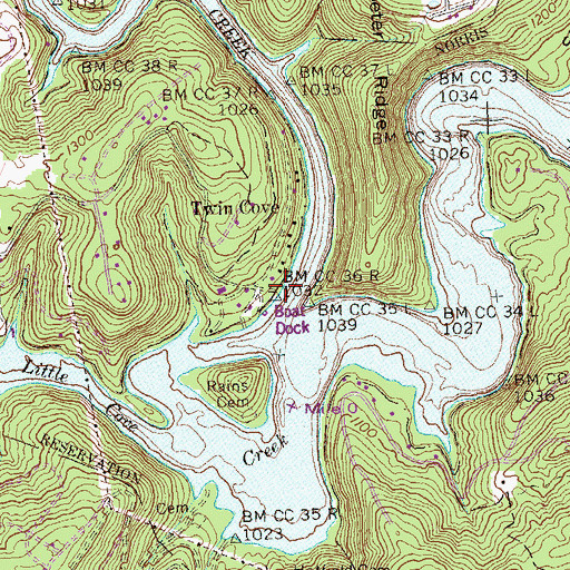Topographic Map of Twin Cove Boat Dock, TN