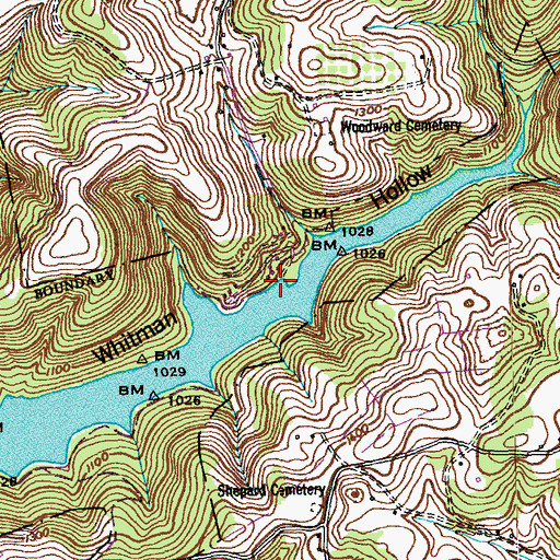 Topographic Map of Whitman Hollow Boat Dock, TN