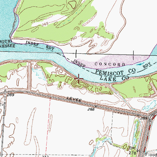 Topographic Map of Reelfoot Landing, TN