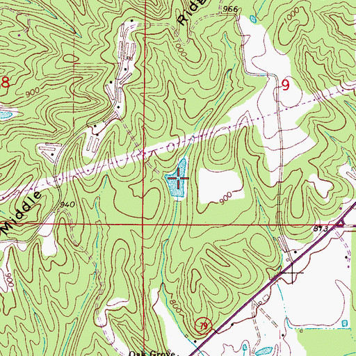 Topographic Map of Forest Ingram Lake, AL