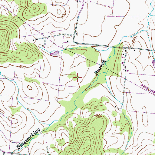Topographic Map of Evans Cemetery, TN