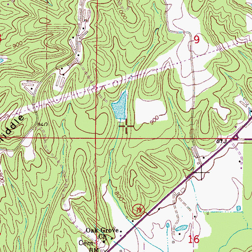 Topographic Map of Forest Ingram Lake Dam, AL