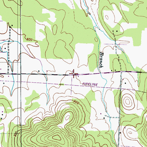 Topographic Map of Woods School (historical), TN
