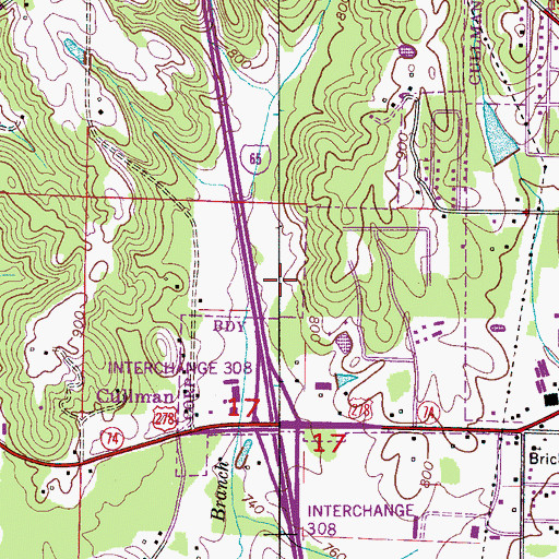 Topographic Map of Burrow Lake, AL