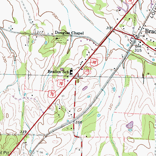 Topographic Map of Braden City Hall, TN