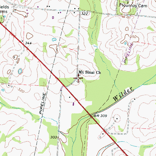 Topographic Map of Mount Sinai Cemetery, TN