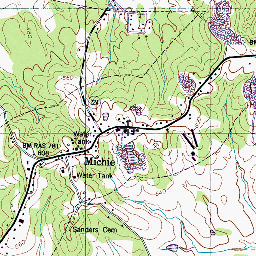 Topographic Map of Michie First Baptist Church, TN