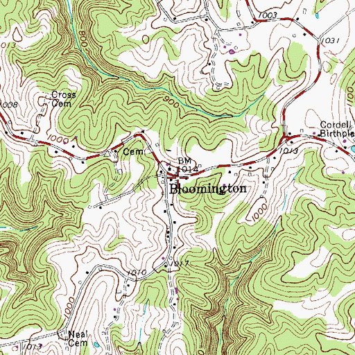 Topographic Map of Bloomington School (historical), TN