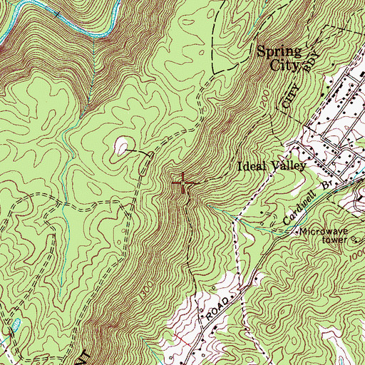 Topographic Map of Rector Mine, TN