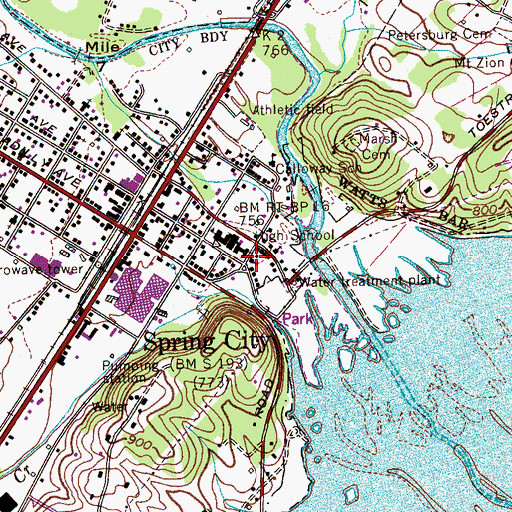 Topographic Map of Reed United Methodist Chapel, TN