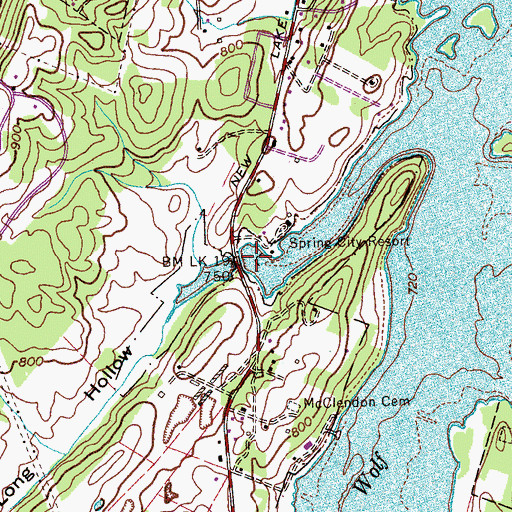 Topographic Map of Spring City Dock, TN