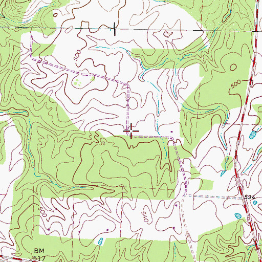 Topographic Map of Strayhorn School (historical), TN