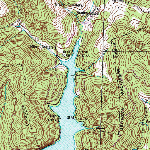 Topographic Map of Blue Springs Hollow Dock, TN