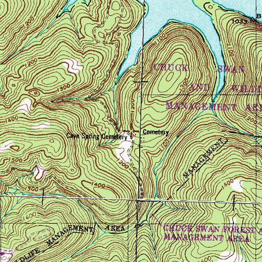Topographic Map of Cave Spring Church (historical), TN