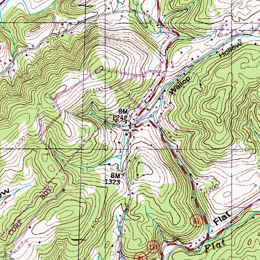 Topographic Map of Holiness Church, TN
