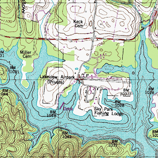 Topographic Map of Lakeview Dock, TN