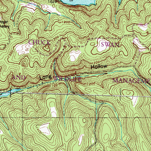Topographic Map of Long Hollow School (historical), TN