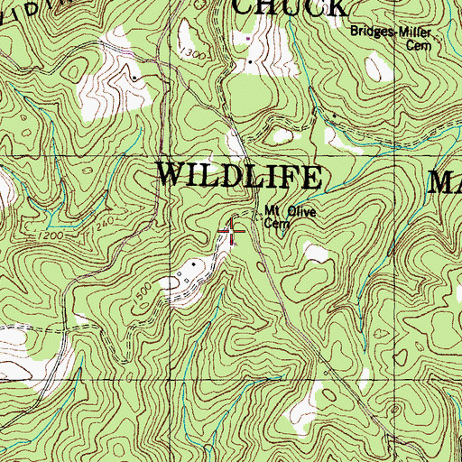 Topographic Map of Mount Olive School (historical), TN