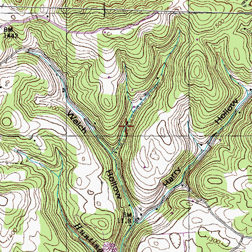 Topographic Map of Rouse Prospect, TN