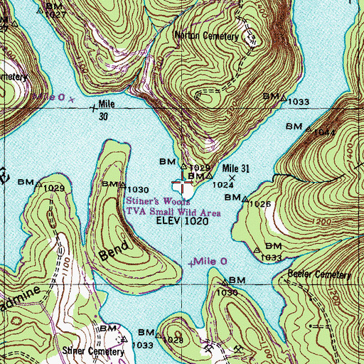 Topographic Map of Straight Branch Dock, TN