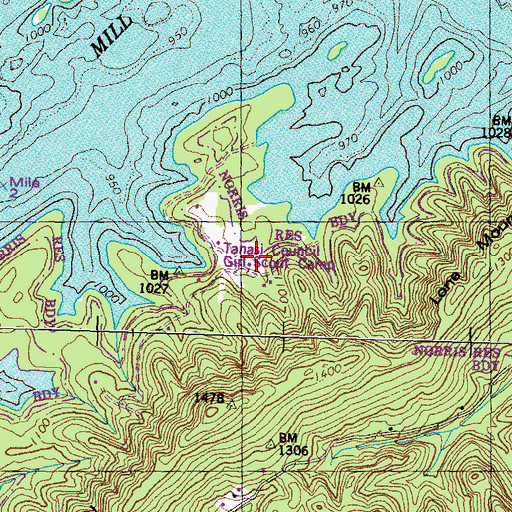 Topographic Map of Tanasi Council Girl Scout Camp, TN