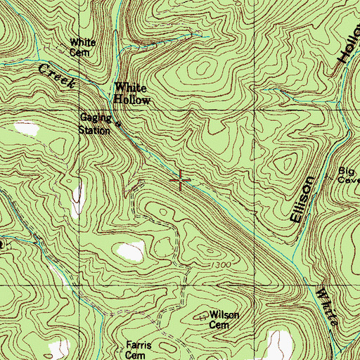 Topographic Map of Wilson Mill (historical), TN