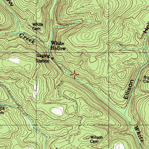 Topographic Map of Wilson Prospect, TN