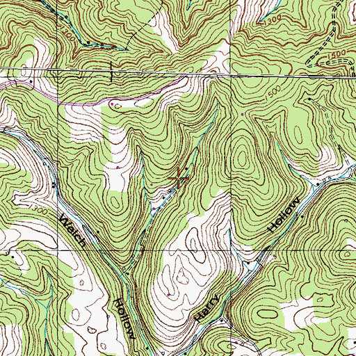 Topographic Map of Woods Prospect, TN