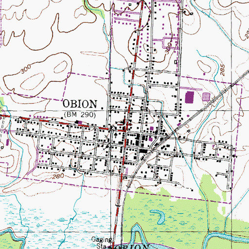 Topographic Map of Obion School, TN