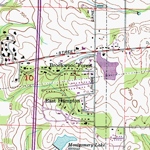 Topographic Map of Brookwood Forest Lake Dam, AL