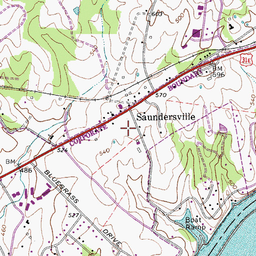 Topographic Map of Twitty City-Music Village USA, TN