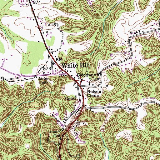 Topographic Map of White Hill School (historical), TN