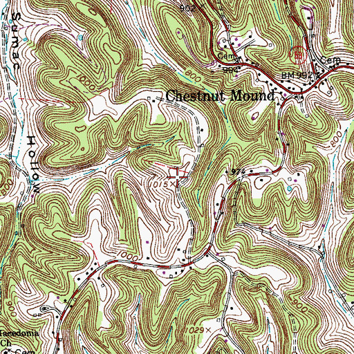 Topographic Map of Chestnut Mound School (historical), TN