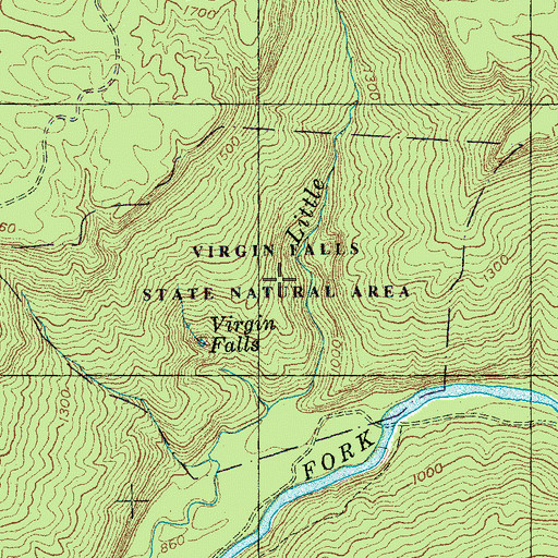 Topographic Map of Virgin Falls State Natural Area, TN