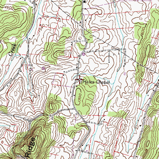 Topographic Map of Hales Chapel Cemetery, TN