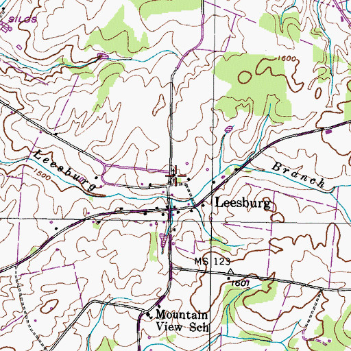 Topographic Map of Leesburg Cemetery, TN