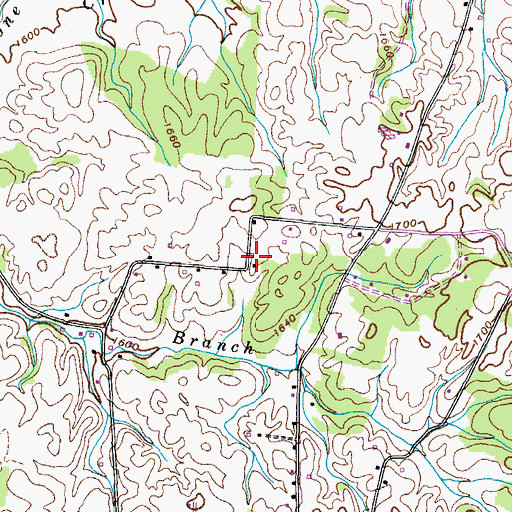 Topographic Map of Sliger Cemetery, TN