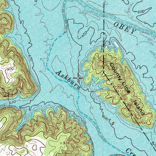 Topographic Map of Ashburns Creek Church of Christ (historical), TN