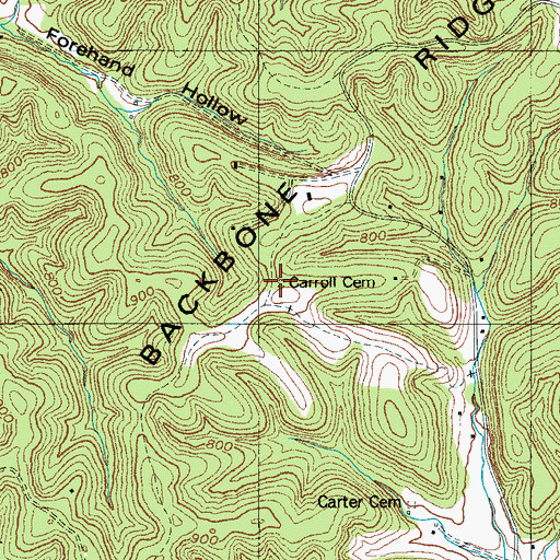 Topographic Map of Carroll Cemetery, TN