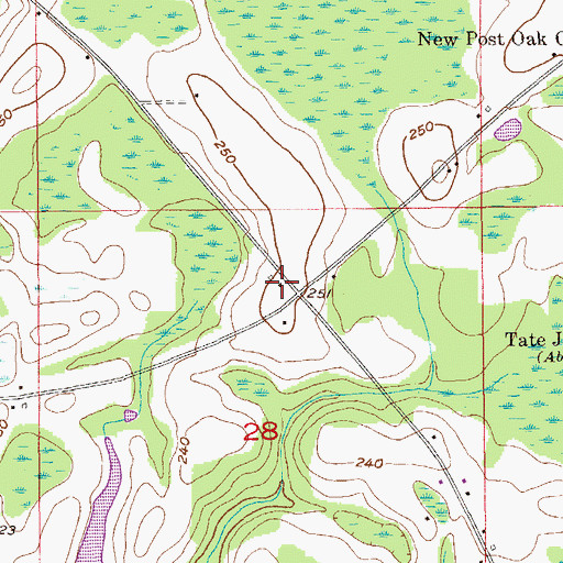 Topographic Map of Walker Chapel (historical), AL