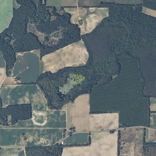 Aerial/Satellite Image of Acock Pond (historical), AL