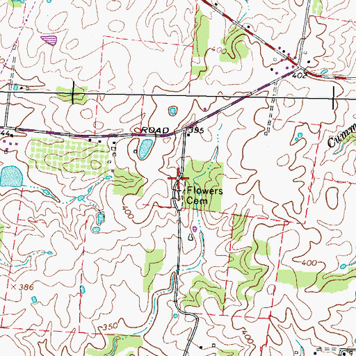 Topographic Map of Flowers Chapel (historical), TN