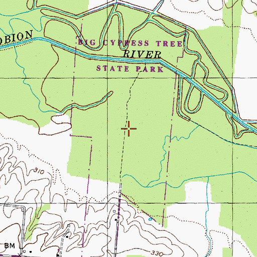 Topographic Map of Big Cypress Tree State Park, TN