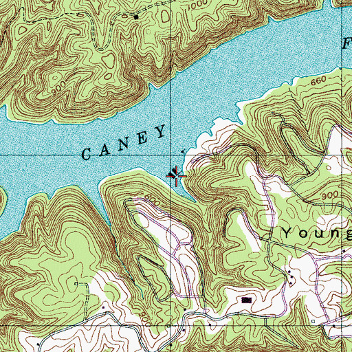 Topographic Map of Four Seasons Marina, TN