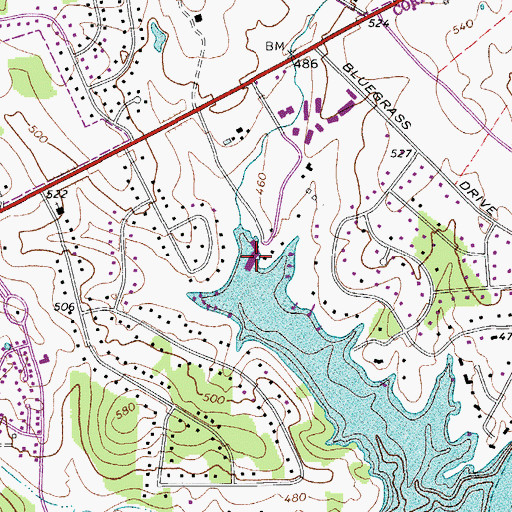 Topographic Map of Blue Grass County Club Dock, TN
