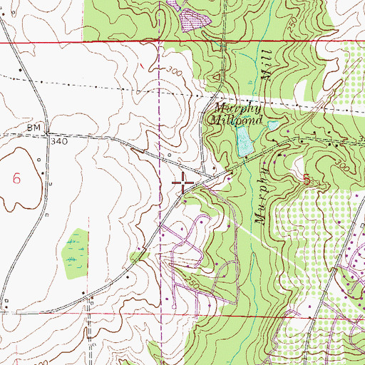 Topographic Map of Murphy Mill School (historical), AL