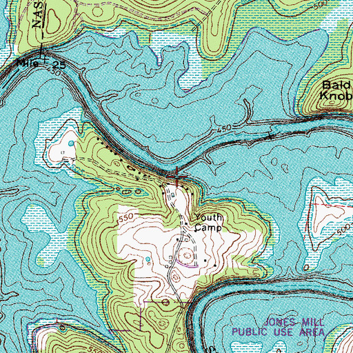 Topographic Map of Buchanans Mill (historical), TN